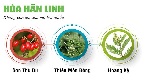 3 vị thuốc chữa chứng ra nhiều mồ hôi hiệu quả, an toàn từ Đông y.jpg